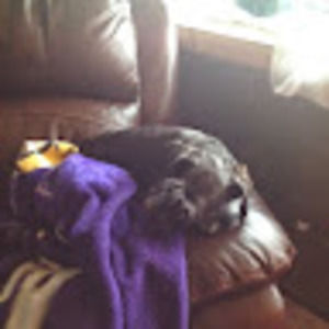 Meet your Posher, Paula